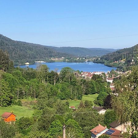 F3 Superbe Vue Lac, Grand Balcon, Ambiance Nature Gérardmer Exteriér fotografie